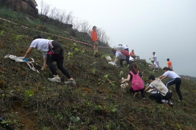 今年逾700人報(bào)名參加，為一幅去年被山火燒去大范圍林木的山坡種植約6,000棵樹苗。